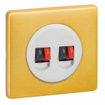 Legrand celiane brass turned